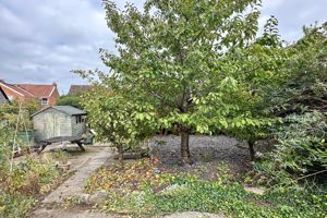 Rear Garden- click for photo gallery